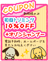 クーポン