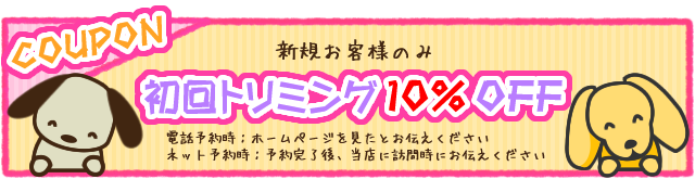 クーポン