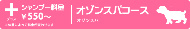 オゾンスパコース