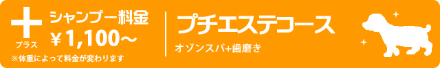 プチエステコース