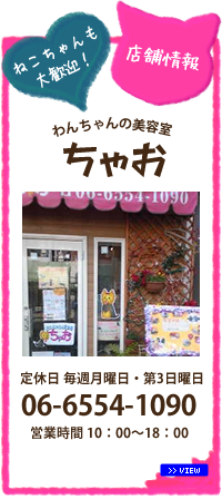 店舗情報