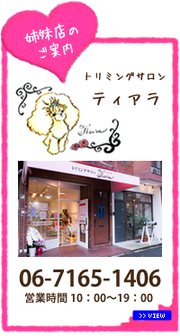 姉妹店のご案内 トリミングサロン ティアラ