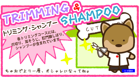 トリミング・シャンプー