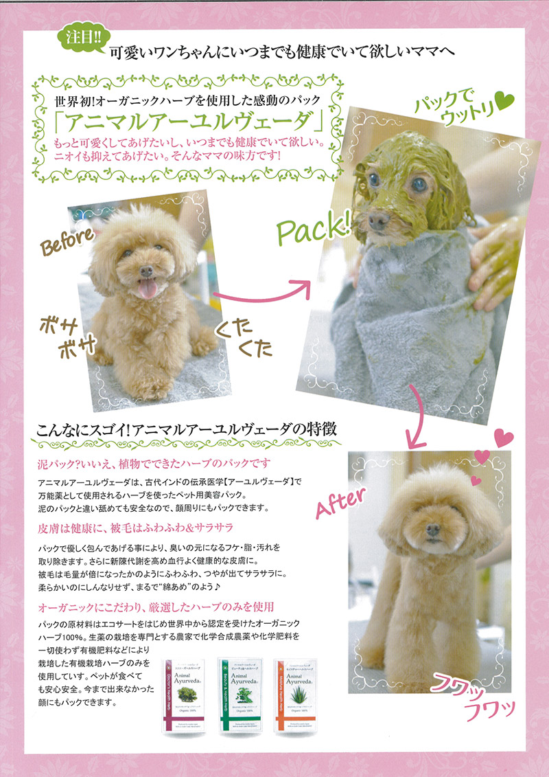 ハーブパック