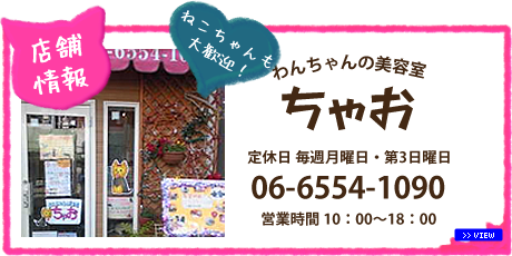 店舗情報